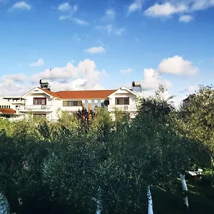 Kasa Apartment